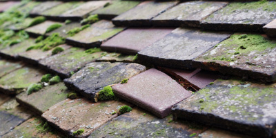 Eastcotts roof repair costs